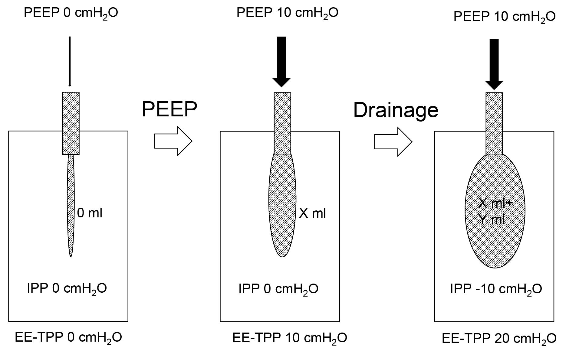 jrcm-13-34515-g001