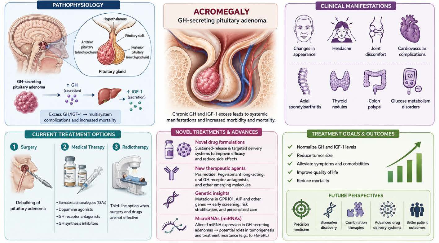 Graphical Abstract